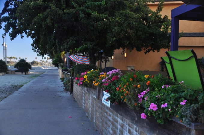 A walking path on Mission Bay's west side